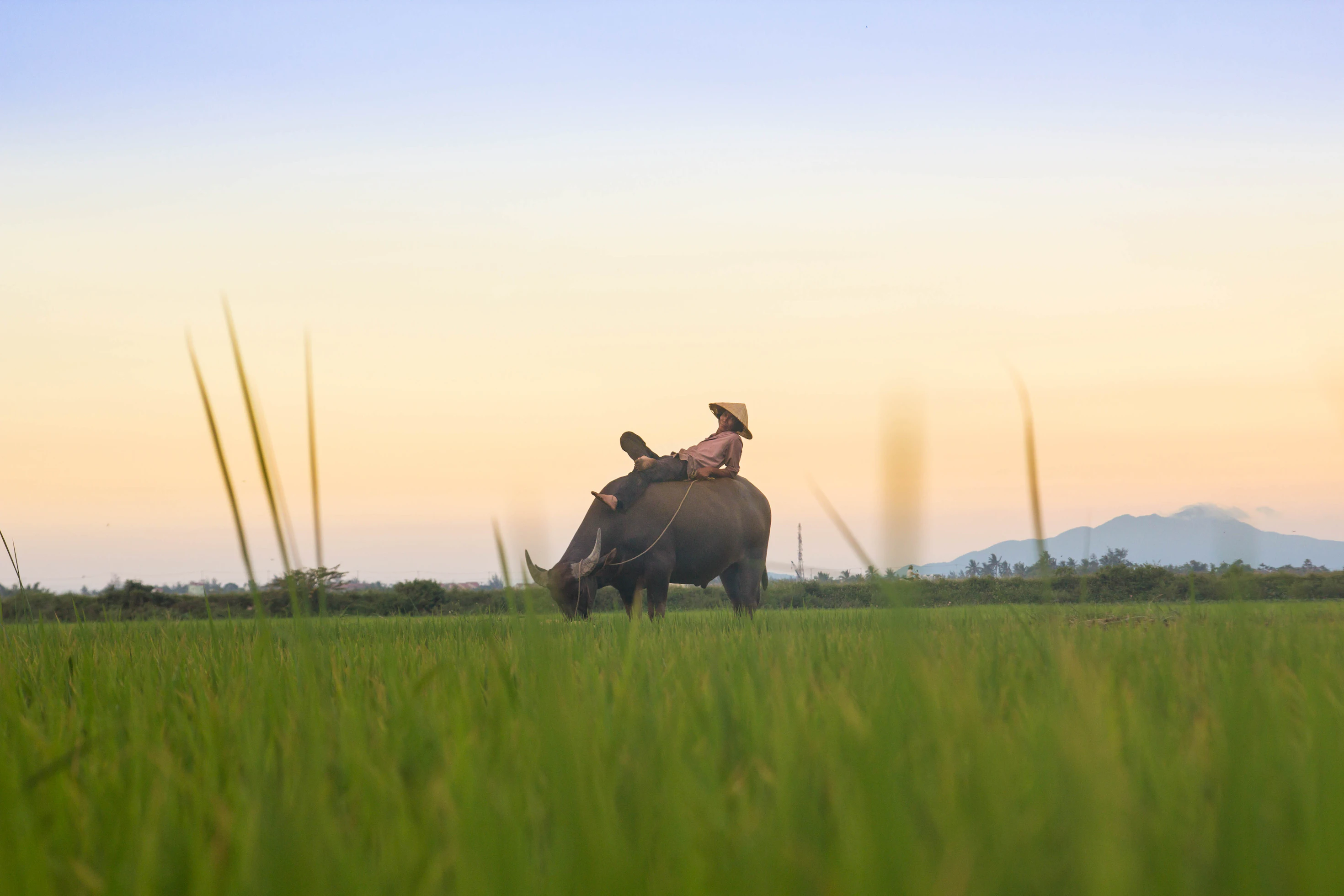 featured-image